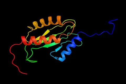 Eukaryotic translation initiation factor 2-alpha kinase 4, an enzyme which .. Illustration