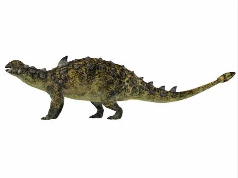 Euoplocephalus over White Stock Illustration