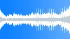 Euphoric Moment - BridgeStock Music
