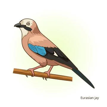 Eurasian jay bird educational game vector Illustrazione stock