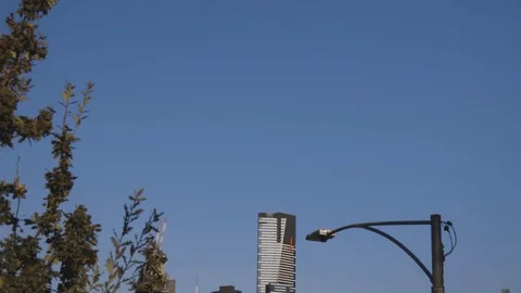 Eurkea Tower Tilt Down and slide revealing the Building Stock Footage 106599982