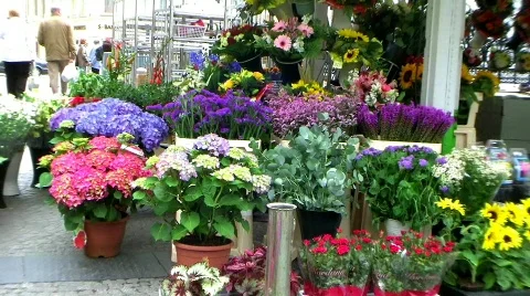 Euro-1 Stock Footage 302008