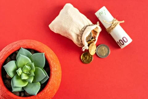 Euro coins falling out of burlap and rolled paper bills on a red background w Foto stock