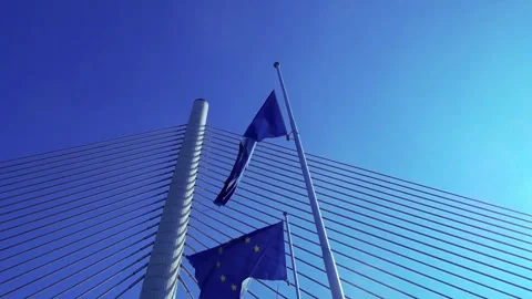 Euro flag 1 Stock Footage 308195456