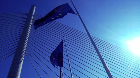 Euro flag Stock Footage 308195446