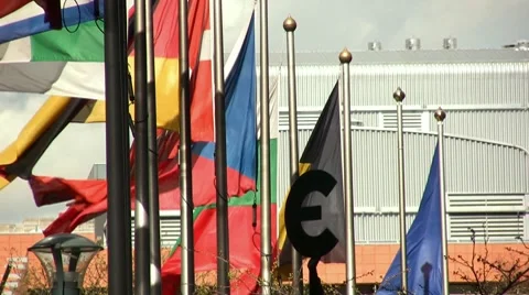 Euro symbol Video stock 7770536