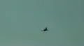 Eurofighter Typhoon airshow flight demonstration HD Footage