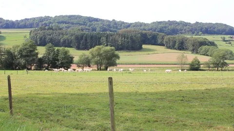 Europe views Stock Footage 77213601