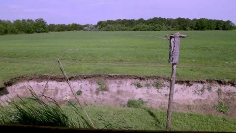 European Bee-Eater, Merops Apiaster. On An Early Sunny Morning, A Bird Sits Stock Footage 196854901