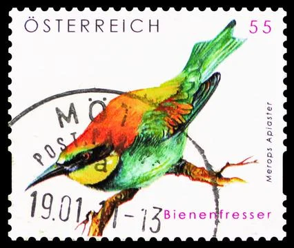 European Bee-eater (Merops apiaster), Wildlife serie, circa 2009 Stock Photos