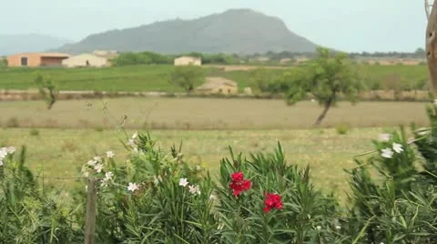 European countryside Stock Footage 12531775