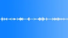 European fire-bellied toadSound Effect