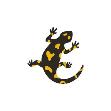 The european fire salamander isolated on white background. Vector illustration Stock Illustration