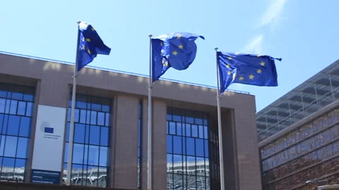 European flags 스톡 동영상 142059938