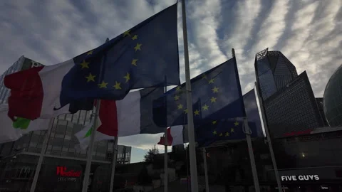 European flags Stock Footage 324678215