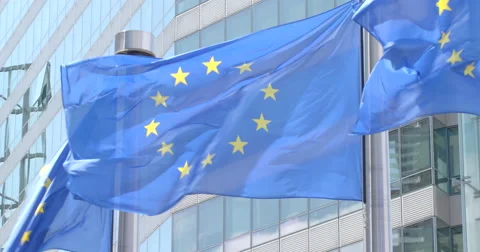 European flags waving Stock Footage 51319993