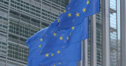 European flags waving Stock Footage 51320816