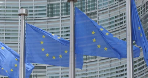 European flags waving Stock Footage 51322613