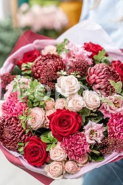 European floral shop. Bouquet of beautiful Mixed flowers in woman hand Stock Photos