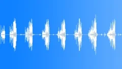 European Forest Ambience 01Sound Effect