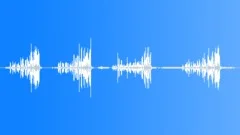 European Forest Birds Ambience 02Sound Effect