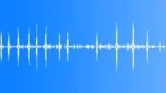 European Forest Birds Ambience 03Sound Effect