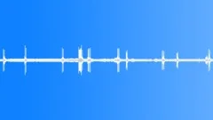 European Forest Birds Ambience 04Sound Effect
