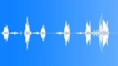 European Forest Birds Ambience 06Sound Effect