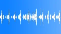 European Forest Birds Ambience 07Sound Effect