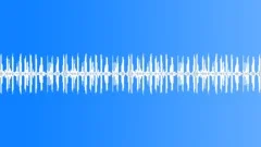 European Forest, the Birds Singing - ambient, denoised loopSound Effect