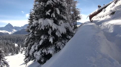 European Hare during wintertime 2 Stock-Footage 46750724