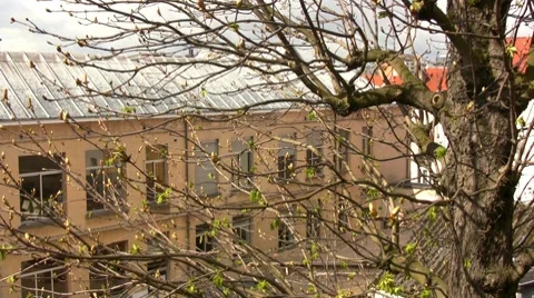 European image Stock-Footage 7765987