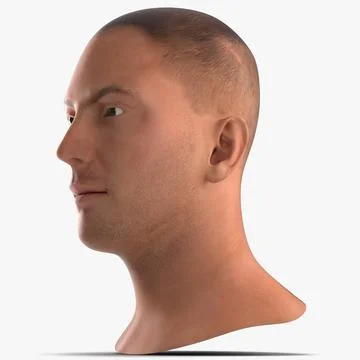 European Male Head 3D Model
