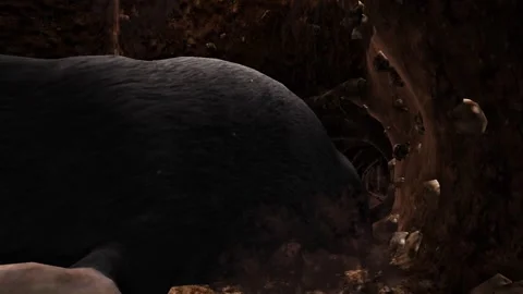 European mole 3D animation Stock Footage 308485679