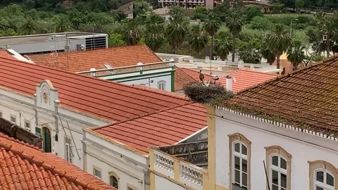 European old city rooftops with nesting storks Stock Footage 107794601