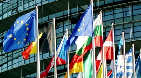 European Union Countries flags array Stock Footage