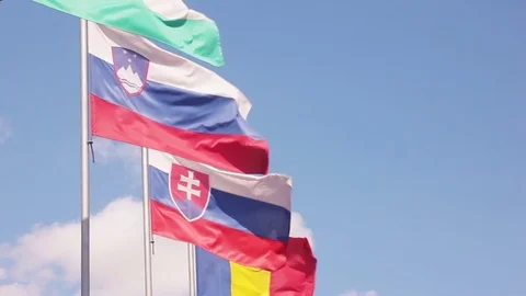 European Union countries flags waving Stock Footage 77333471
