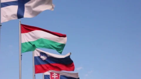 European Union countries flags waving Stock Footage 77405288