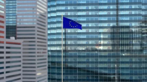 European Union Flag 3D Render Animation Waving Against Glass Office Building Stock Footage 333018442