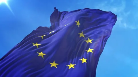European Union Flag Low Angle View Stock Footage 295690133