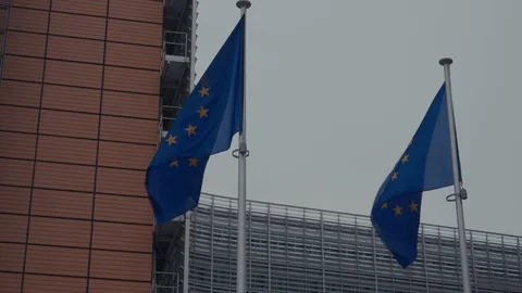 European Union flags, Brussels Stock Footage 88370044