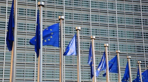 European Union Flags Stock Footage 54767087