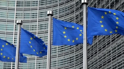 European Union flags in a row waving in the wind, European Commission Stock Footage 100672946