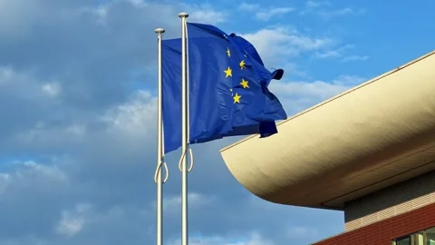 European Union flags waving Vidéo 336339604