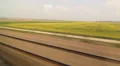 Eurostar in French countryside. Fields and road. HD Footage