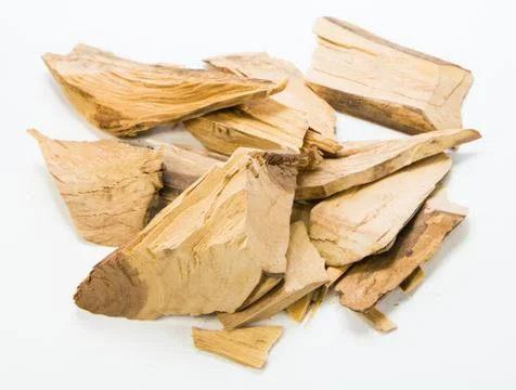 Eurycoma longifolia  on white background Stock Photos