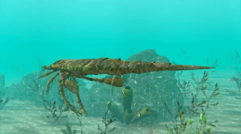 Eurypterus Swimming Animation Stock-Footage 61781346