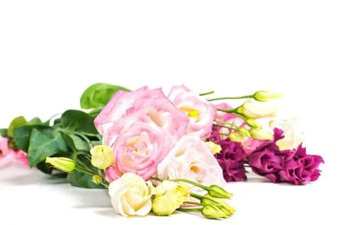 Eustoma flowers on light background 스톡 사진