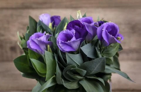 Eustoma Violet Flowers Stock Photos