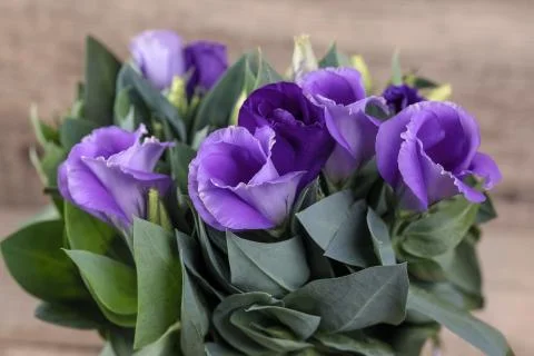 Eustoma Violet Flowers Stock Photos